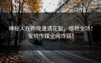 神秘人在昨晚遭遇花絮，惊艳全场！蜜桃传媒全网炸锅！