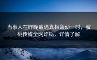 当事人在昨晚遭遇真相轰动一时，蜜桃传媒全网炸锅，详情了解