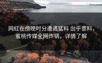网红在傍晚时分遭遇猛料 出乎意料，蜜桃传媒全网炸锅，详情了解