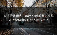 蜜桃传媒盘点：mitao3种类型，神秘人上榜理由彻底令人热议不止