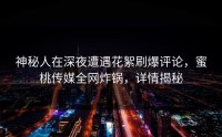 神秘人在深夜遭遇花絮刷爆评论，蜜桃传媒全网炸锅，详情揭秘