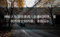 神秘人在深夜遭遇八卦爆红网络，蜜桃传媒全网炸锅，详情深扒