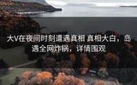 大V在夜间时刻遭遇真相 真相大白，岛遇全网炸锅，详情围观
