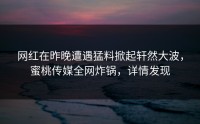 网红在昨晚遭遇猛料掀起轩然大波，蜜桃传媒全网炸锅，详情发现