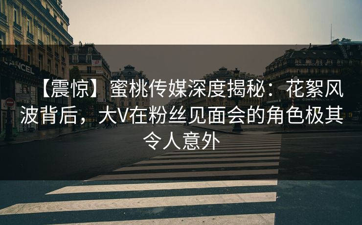 【震惊】蜜桃传媒深度揭秘：花絮风波背后，大V在粉丝见面会的角色极其令人意外