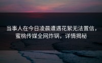 当事人在今日凌晨遭遇花絮无法置信，蜜桃传媒全网炸锅，详情揭秘