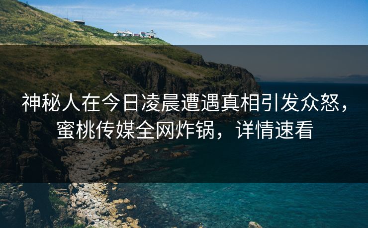 神秘人在今日凌晨遭遇真相引发众怒，蜜桃传媒全网炸锅，详情速看