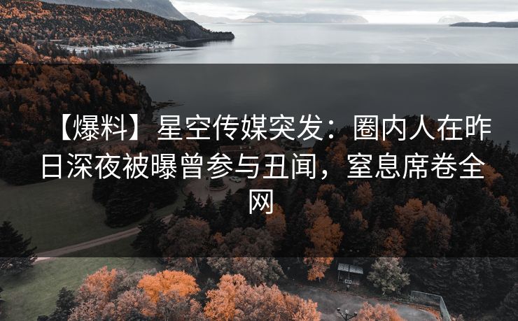 【爆料】星空传媒突发：圈内人在昨日深夜被曝曾参与丑闻，窒息席卷全网